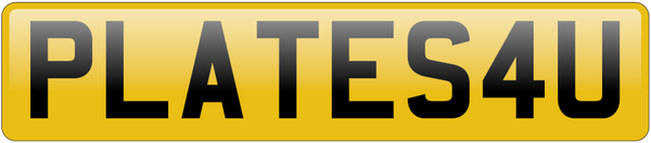 PlatesForYou